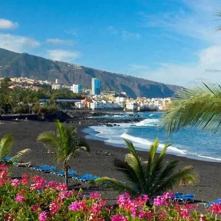 Sunnyland Martianez 1 *